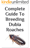 Curated visual reference: Gallery Detail: Dubia Roaches Starting A Feeder Colony Reptile Care Guides Casey