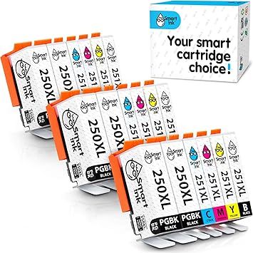 canon 251 ink amazon