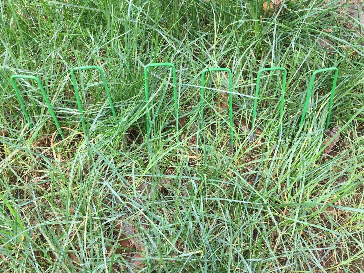 Fineway Heavy Duty U Pins Green Artificial Grass Turf Galvanised Metal Pegs Pack Of 50 Weed Barrier Fabric Gardening