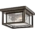 Hinkley Republic Small Flush Mount Outdoor Ceiling Light, Composite, Clear Seedy Glass Panes, Anti-Fading Finish, Oil Rubbed 