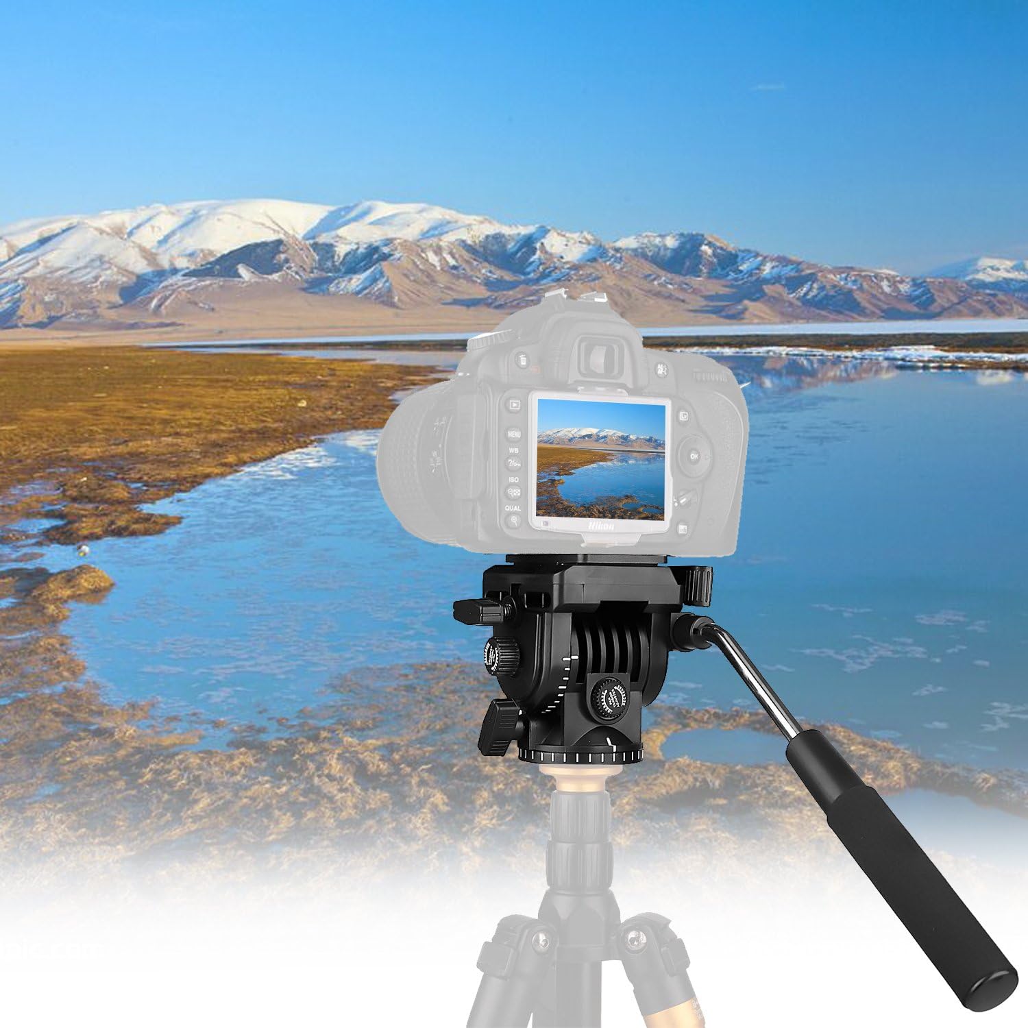 Fluid Head, pangshi VT-1510 Video Camera Tripod Head Fluid Drag Pan Tilt Head with 1/4” Quick Release Plate for Canon Nikon Sony DSLR Cameras Camcorder Shooting Filming : Camera & Photo