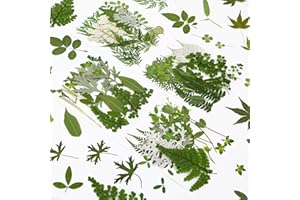 Augshy Pressed Dried Leaves Flowers, 100 Pcs Green Dried Leaves for Resin Molds Assorted Real Pressed Flowers for Crafts DIY 