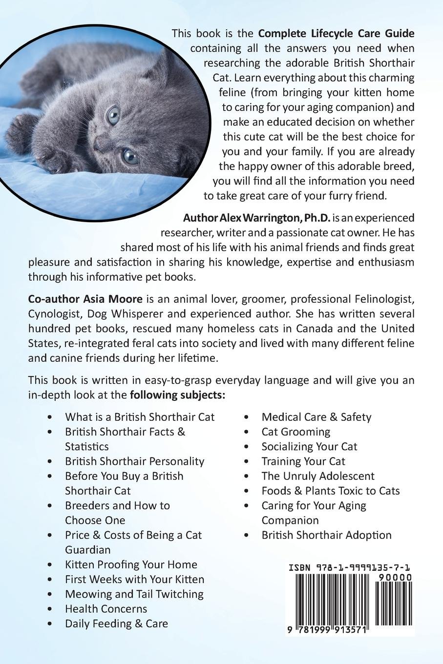 Buy British Shorthair Cat From Bringing Your Kitten Home To