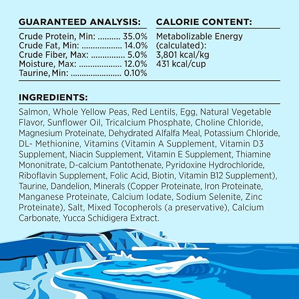 LIBERTY DRY FOOD SALMON RECIPE FOR CATS, 3LB