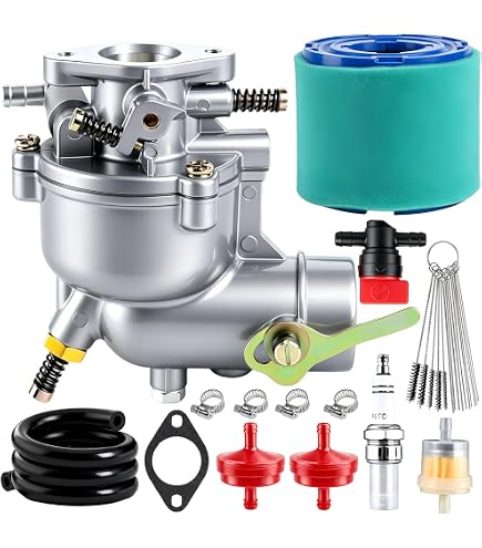 Amazon.com: JXKMGMD Tools Parts Carburetor for Briggs & for