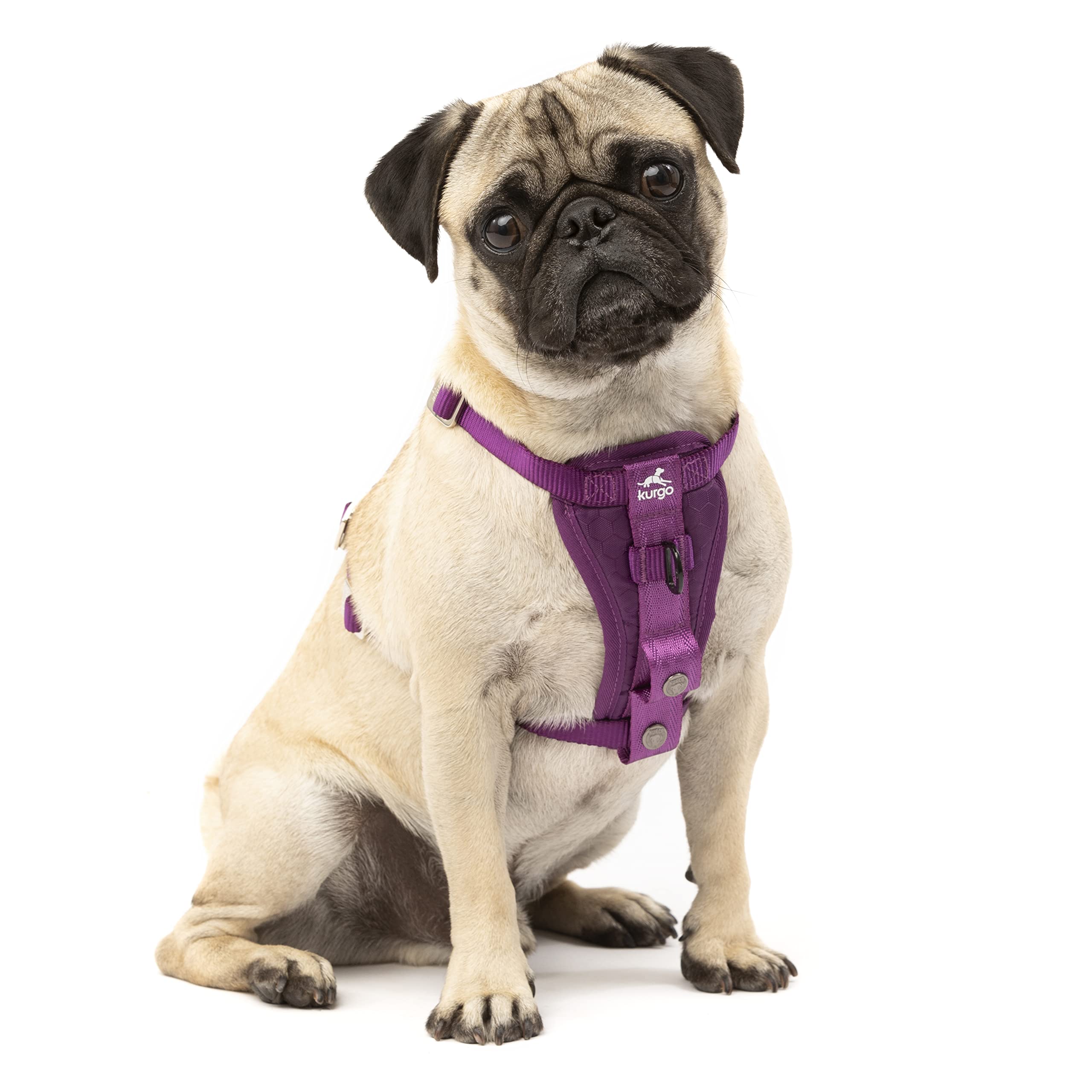 Enhanced Strenght Tru-Fit Smart Harness, Purple, Extra Small