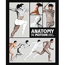 Anatomy for Artists: A Visual Guide to the Human Form | Amazon.com.br