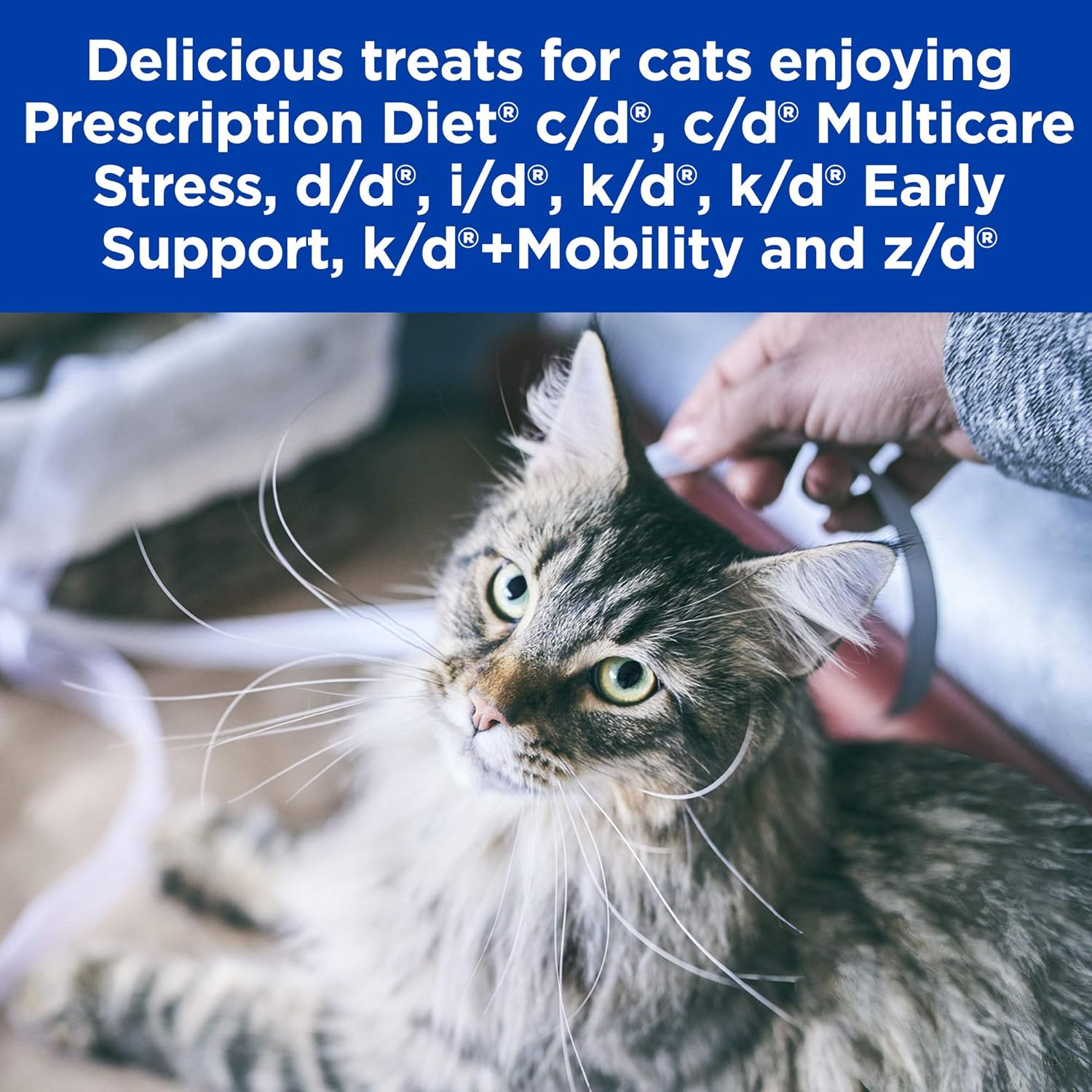 hills prescription diet hypo treats for cats