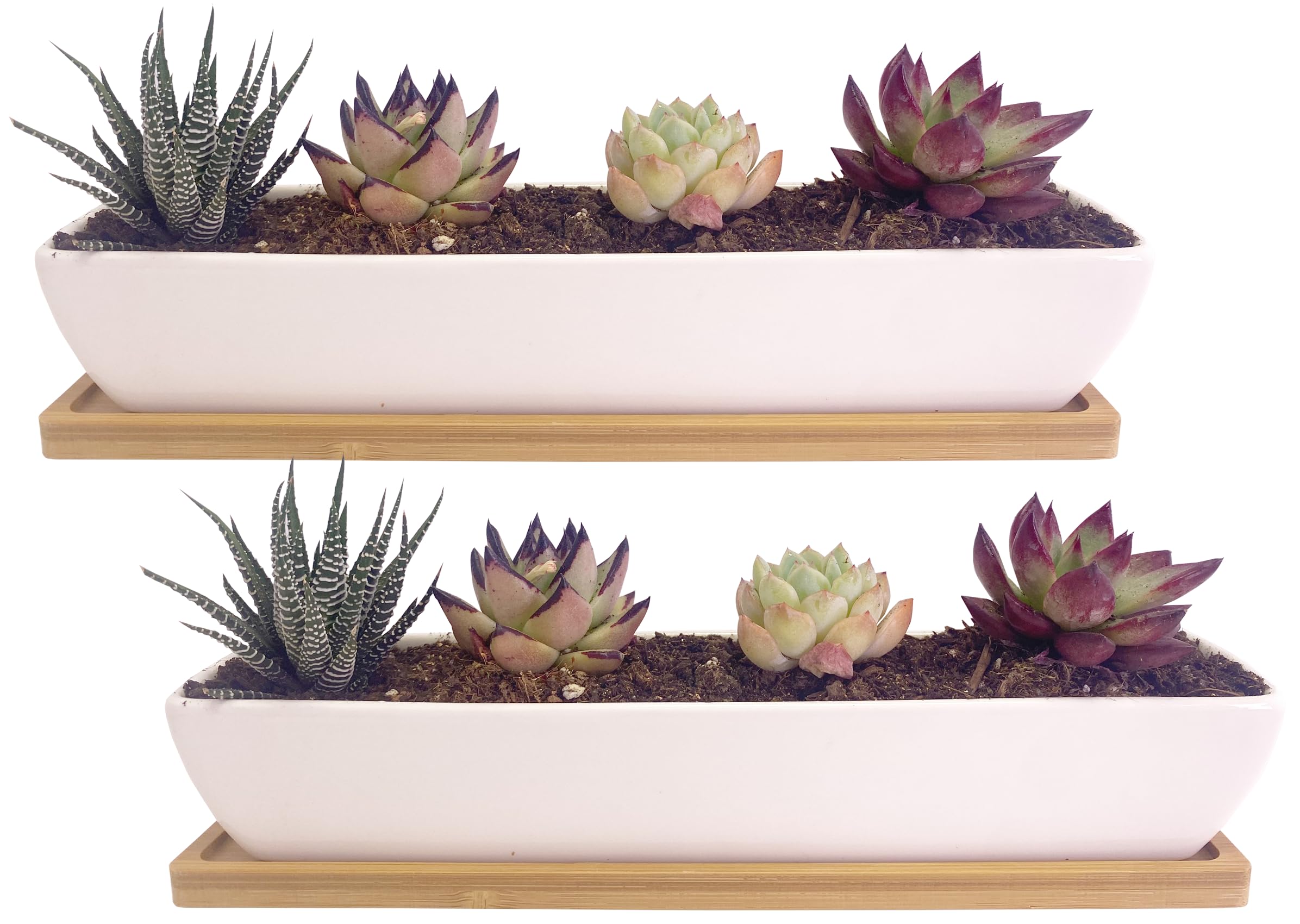Photo 1 of SWONVI 2 pcs 11.1 inch Long Rectangle White Ceramic Succulent Planter Pots/Mini Flower Plant Containers with Bamboo Saucers Plant Window Boxes for Office/Home, 11 x2.28x1.73inch