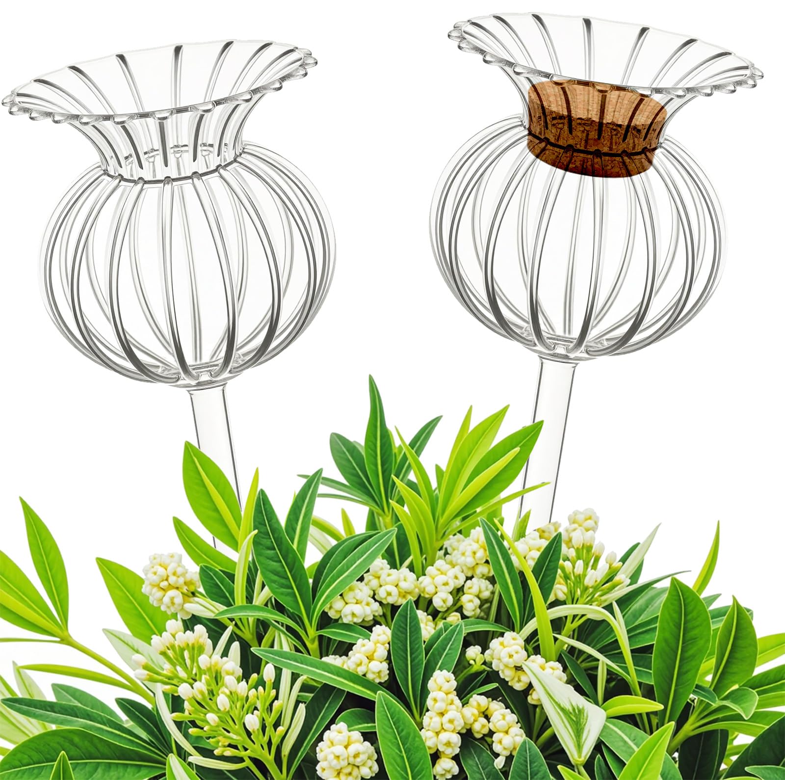 Photo 1 of Adabocute Plant Waterer Self Watering Globes-Self Watering Spikes with Corks, Hand Blown Clear Glass Plant Water Bulbs Devices for Indoor & Outdoor, Fill from Top, 2 Stripe Flower Shape
