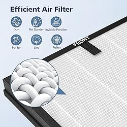 HAP603 Replacement Filter Compatible With ECOSELF
