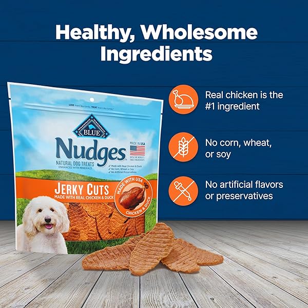 BLUE BUFFALO NUDGES JERKY CUTS DOG TREATS, MADE IN THE USA WITH NATURAL INGREDIENTS, CHICKEN & DUCK, 10-OZ. BAG