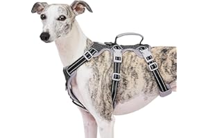 Huntboo Escape Proof Dog Harness, No Pull Reflective Harness with Lift Handle, Adjustable Pet Vest with Front and Back Leash Clips for Small Medium Large Dogs Walking Hiking Training (Black,L)