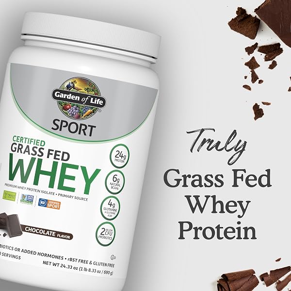 GARDEN OF LIFE SPORT WHEY PROTEIN POWDER CHOCOLATE, PREMIUM GRASS FED WHEY PROTEIN ISOLATE PLUS PROBIOTICS FOR IMMUNE SYSTEM HEALTH, 24G PROTEIN, NON GMO, GLUTEN FREE, COLD PROCESSED – 20 SERVINGS