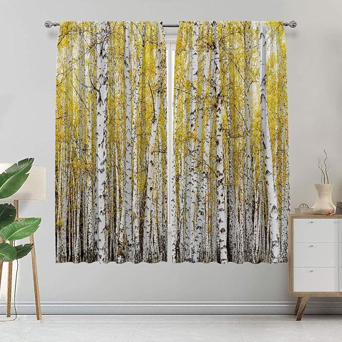 Alandana Forest Curtains, Autumn Birch Forest Golden Leaves Woodland October Seasonal Nature