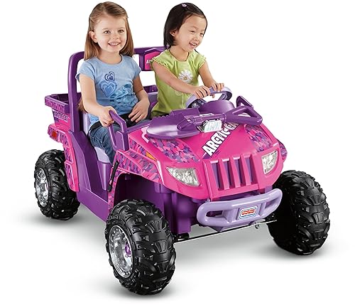 Gato ártico de Power Wheels