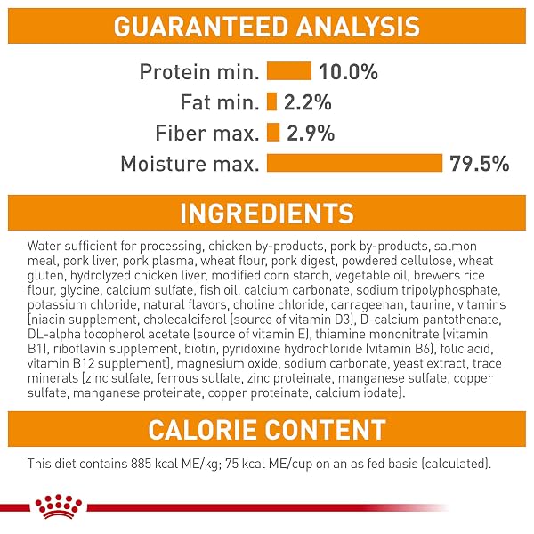 ROYAL CANIN FELINE CARE NUTRITION HAIR & SKIN CARE ADULT CHUNKS IN GRAVY CAT FOOD, 3 OZ