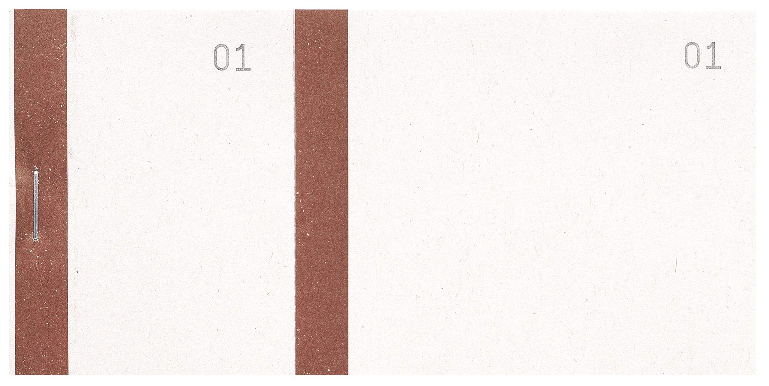 Exacompta - Ref. 96301E - 1 Seller pad with colour band 100 double numbered sheets - Size 6.6 x 13.5 cm - Bistre