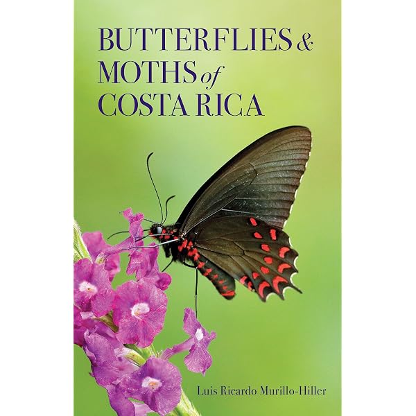 Butterflies From China, Japan, and Corea; Volume 1: Leech, John