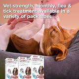Beaphar FIPROtec COMBO for Medium Dogs 10-20kg 3 Pipettes view 7