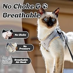 Supet Cat Harness and Leash Set for Walking Cat and