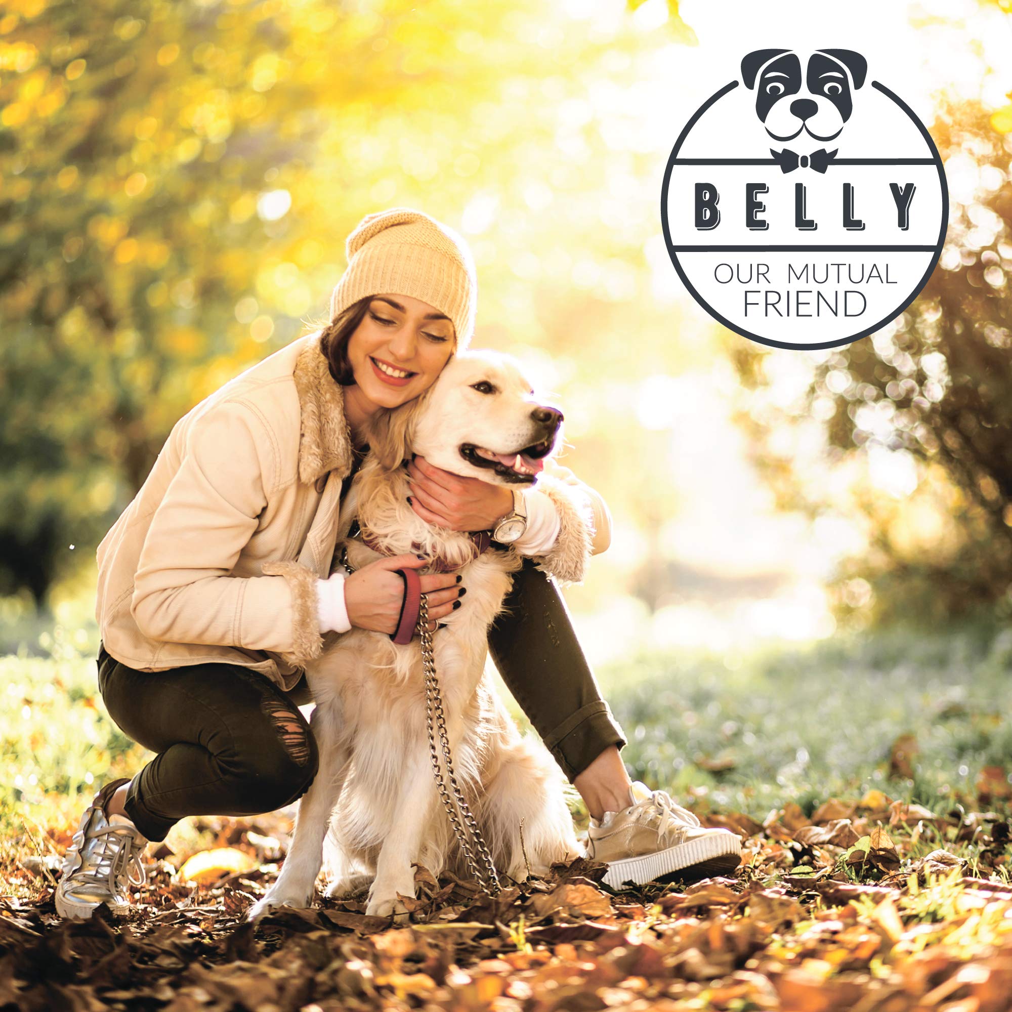 Pet supplies by Glossy Dog | 250ml Pet supplies & Pet Care | Natural Dog Care | Organic Dog Conditioner | Suitable with Sensitive Dog Shampoo and Dog Dry Shampoo