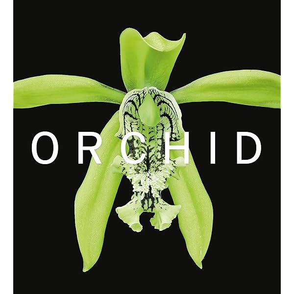 The Illustrated Encyclopedia of Orchids: Pridgeon, Alec, Morrison