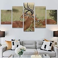 SIGNWIN 5 Panel Canvas Wall Art Modern Art Animals Dramatic Giraffe Lion Multicolor Photography Southwest for Home Decorations Ready to Hang - 60