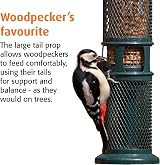 Jacobi Jayne Squirrel Buster Peanut Bird Feeder – 0.75L Capacity view 4