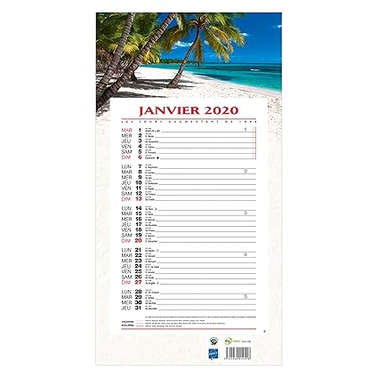 Majuscule Calendrier Bloc Mensuel à Feuillets Année Civile Exotique 19 X 36 Cm 2020