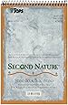 TOPS Second Nature Spiral Steno Books, Recycled, 6 x 9 Inches, Gregg Rule, Tan Cover, 70 Sheets Per Book (74690)
