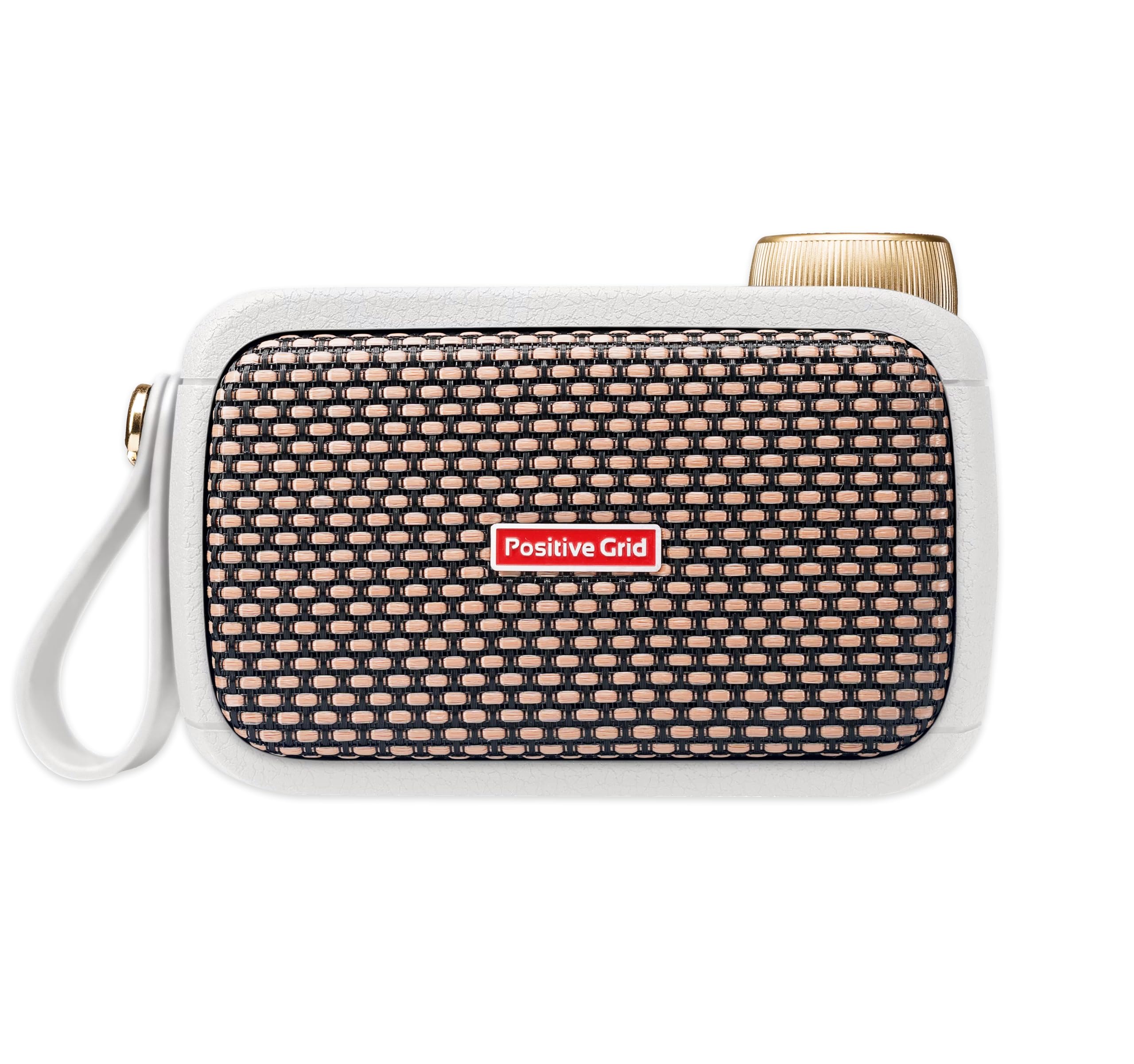 Positive Grid Spark GO pearl ポジティブ グリッドの商品画像