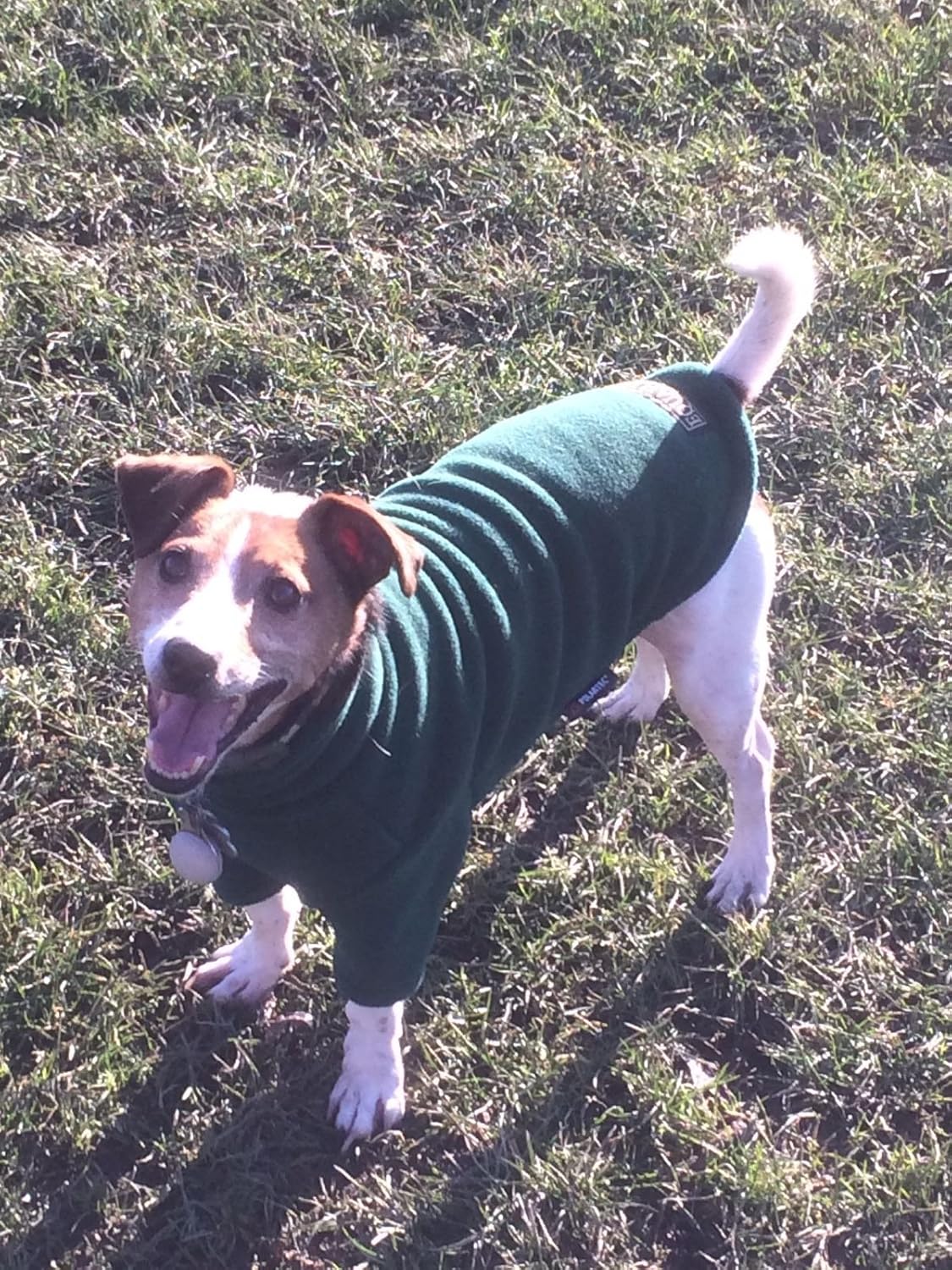 equafleece dog jumper