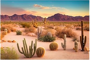 OHIOCATII Desert Reptile Habitat Background Arid Landscape of Hot Sahara Desert Terrarium Background Desert Cacti and Sand with Dunes Aquarium Background Natural Hot Desert Fish Tank Background Vinyl 36x18in