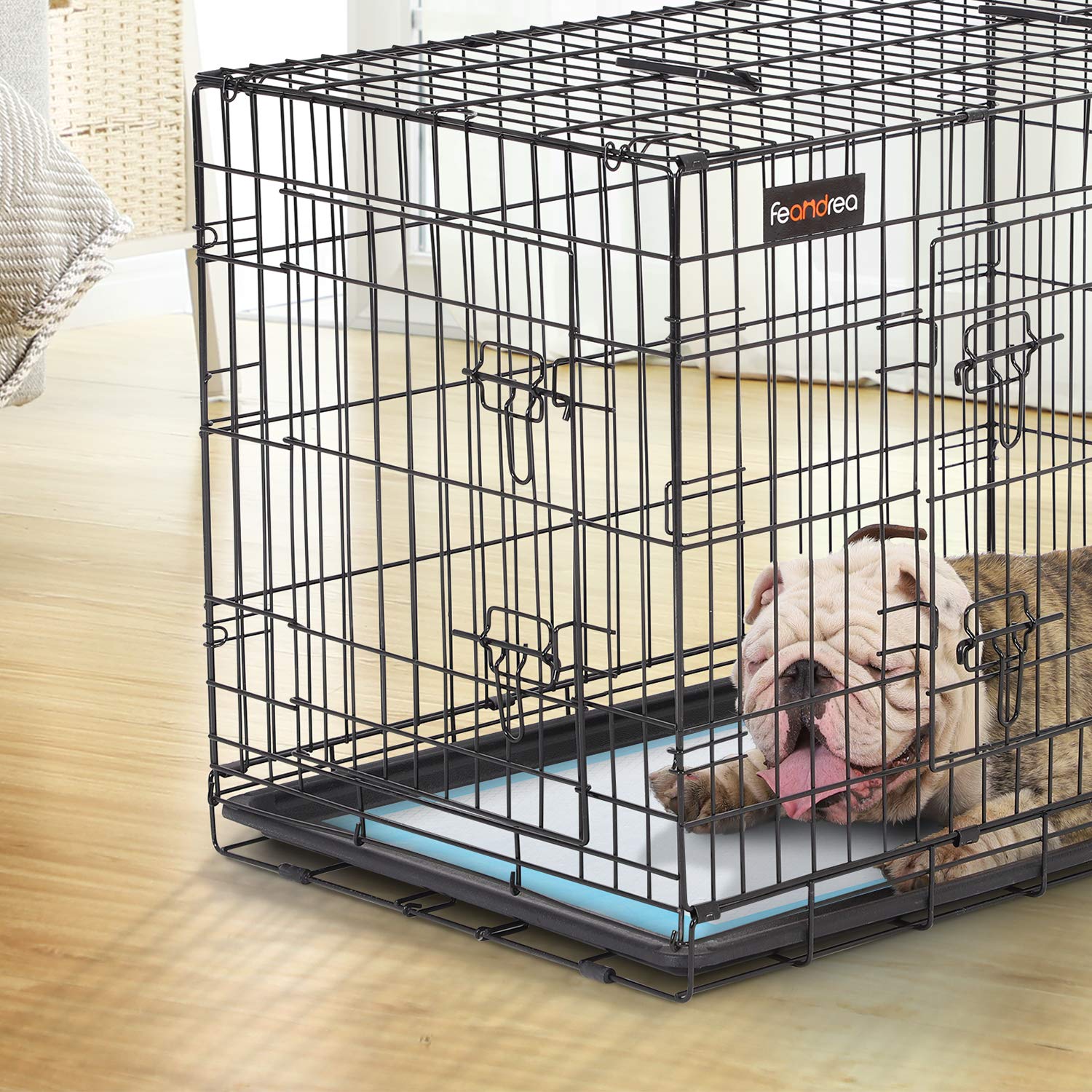 View 7