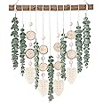 Sggvecsy 21’’ Eucalyptus Wall Hanging Decor Artificial Eucalyptus Plant Fake Greenery Leaves Boho Wall Decor with Wooden Stic