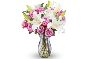 Benchmark Bouquets, Lavender Roses & Lilies, Glass Vase Included, Fresh Flower Gift for Birthday, Anniversary, Get Well Soon,