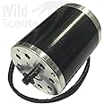 Razor 36 Volt 500 Watt Motor for Razor MX500 Dirt Rocket : Sports ...