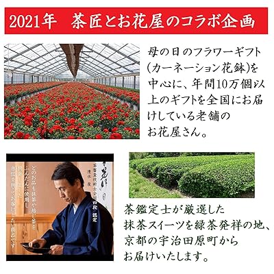 Buy きよ泉 母の日 カーネーション 羊羹と新茶セット 5号鉢 花とスイーツ 和菓子 花とお菓子 母の日ギフト プレゼント 贈り物 母の日21年 一口ようかん 抹茶 栗 小倉 羊羹 21年度産 国産 新茶 抹茶スイーツ 京都 お祝いギフト 個包装 Online In Canada