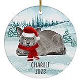 Santa Hat and Scarf Welcome Winter Blue Burmese Cat