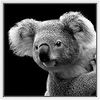 SIGNWIN Framed Canvas Wall Art Koala Bear Animals Wildlife Photography Realism Modern Portrait Dramatic Black and White for Living Room, Bedroom, Office - 16