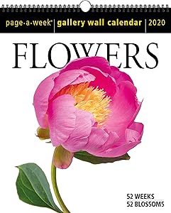 kindle best category lists