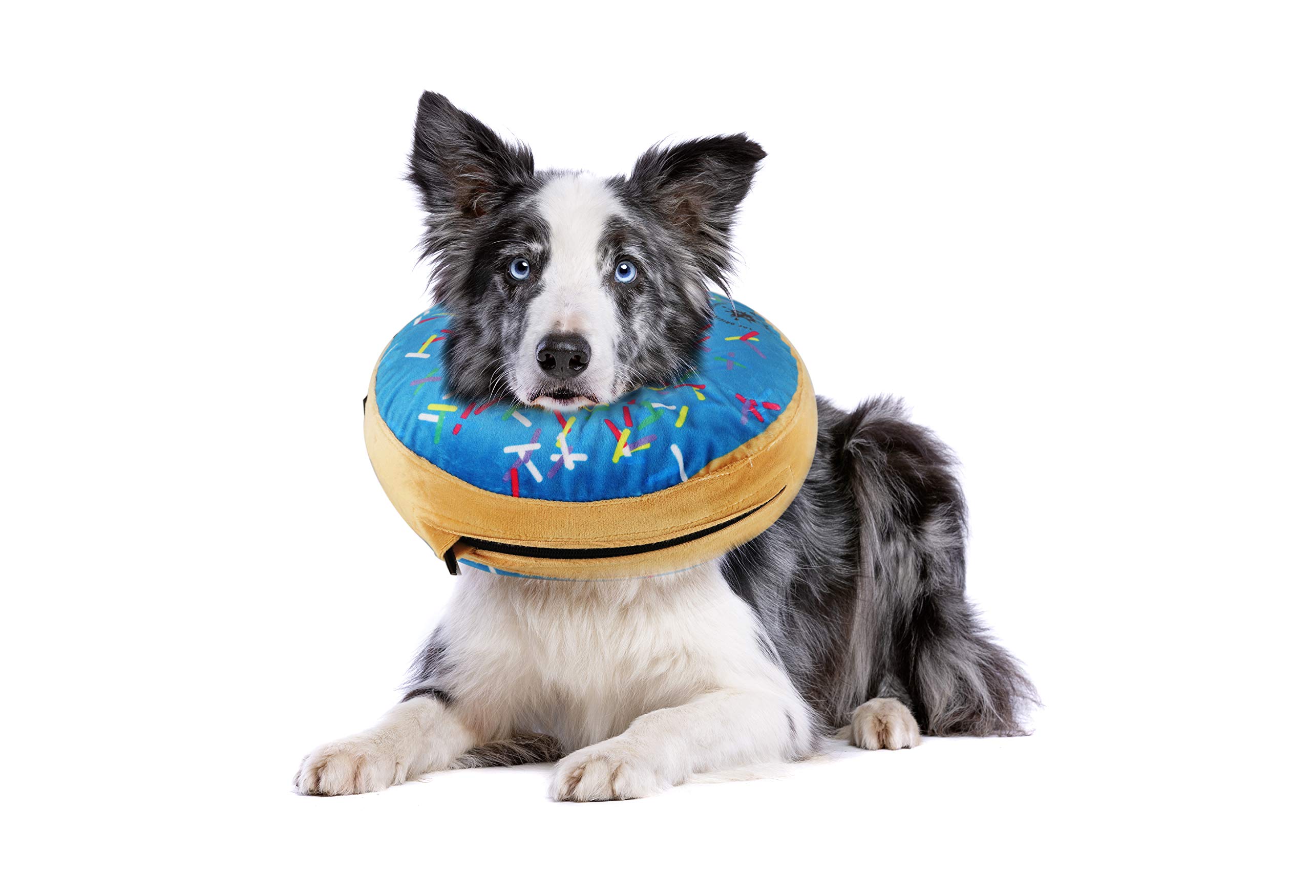 Inflatable Dog Collar | Great Alternative to a Dog Cone | Comfy Recovery Collar for Small Dogs (Blue)