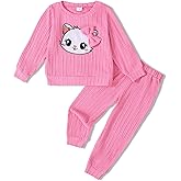 Jecson Toddler Girl Fall Clothes: Soft Outfits Set Embroidered Knit Top & Sweatpants 2Pcs Cute Home Outdoor 2-8Y