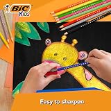 BIC Kids Smooth Colouring Pencils 54 Pack Assorted Colours 100% Wood view 3
