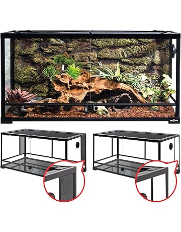 amazon reptile store