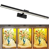 Wireless Picture Lights for Wall, Battery Operated