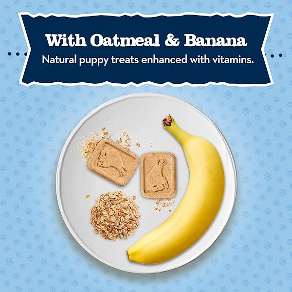 BLUE BUFFALO BABY BLUE CRUNCHY BISCUITS WITH DHA, CRUNCHY DOG TREATS FOR PUPPIES, MADE WITH NATURAL INGREDIENTS, OATMEAL & BANANA, 8-OZ BAG