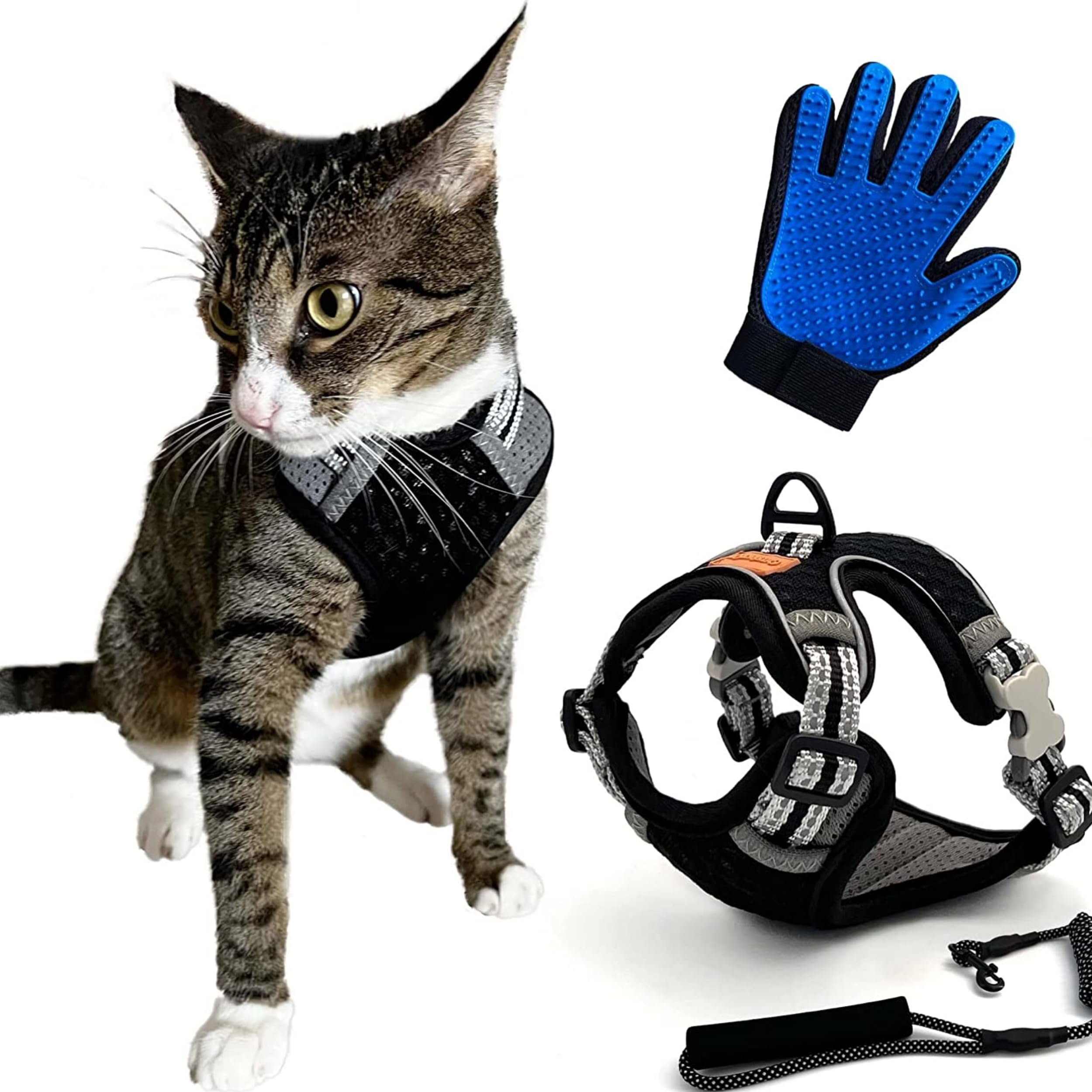 CutePet - Anti-Escape Harness for Kitten, Adult Cat, Puppy, Small Dog, Rabbit with Cat Hair Glove | Adjustable Anti-Escape Harness with Lead | Breathable Mesh and Reflective Band (S, Black)