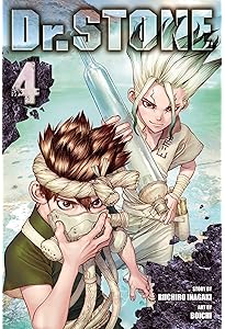 Amazon.com: Dr. STONE, Vol. 1: Stone World: 9781974702619: Inagaki